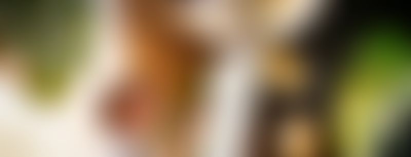 Ипотека 5% на весь срок без удорожания