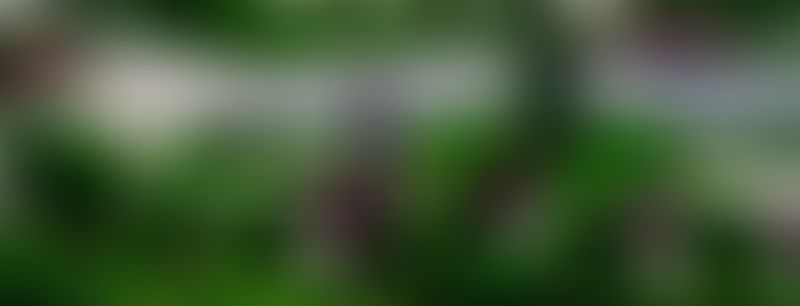 Когда архитектура становится фоном для настоящего