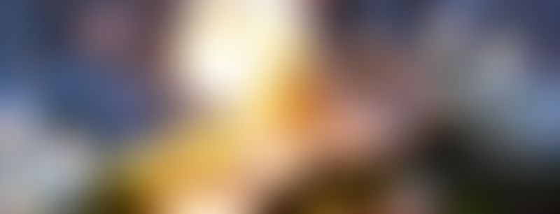 Третий квартал ЖК «Флора» СДАН!