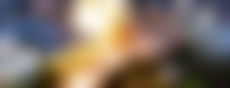 Третий квартал ЖК «Флора» СДАН!